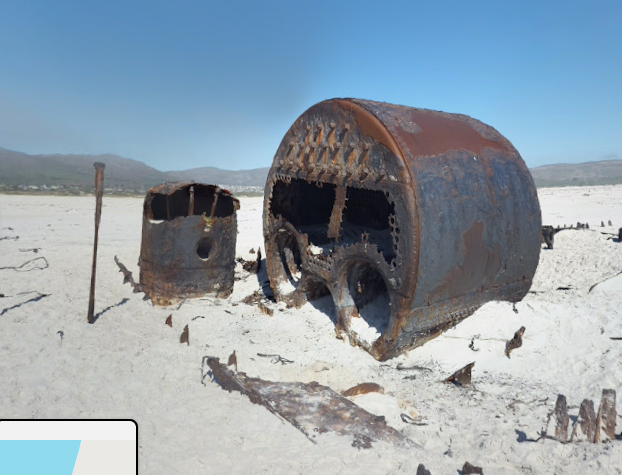 Kakapo's remains on the beach